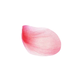 Rose Left