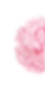 Rose Right