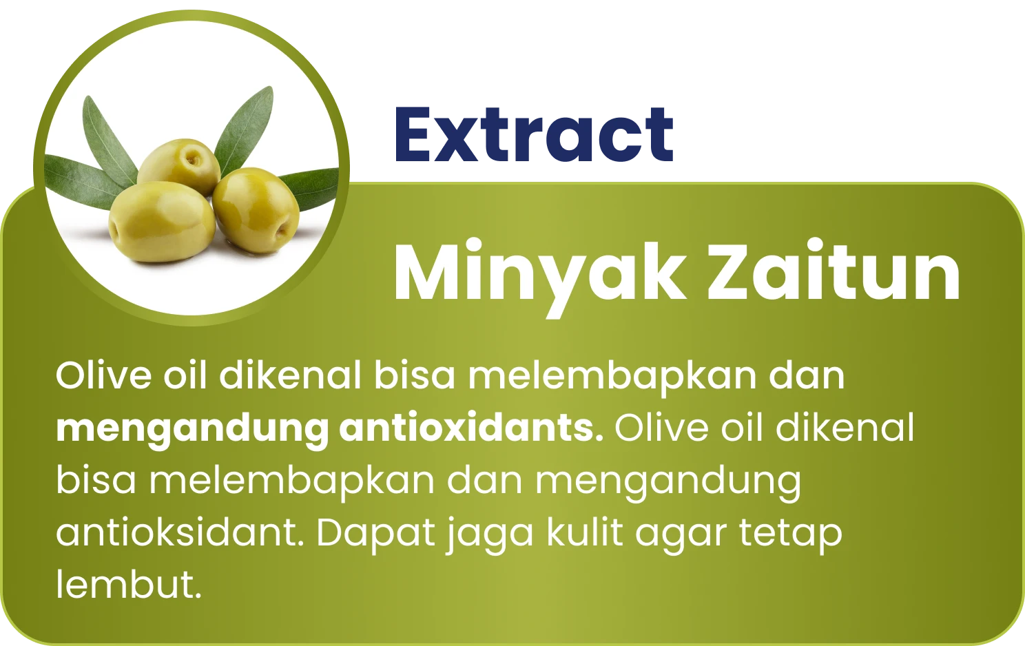 Zaitun