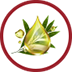 TEA TREE OIL