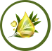 TEA TREE OIL & ANTIBACTERIAL AGENT