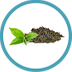 BLACK TEA